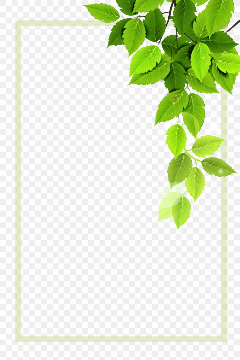 Vector Green Plant Borders, PNG, 3307x4961px, Plant, Area, Branch, Drawing, Grass Download Free