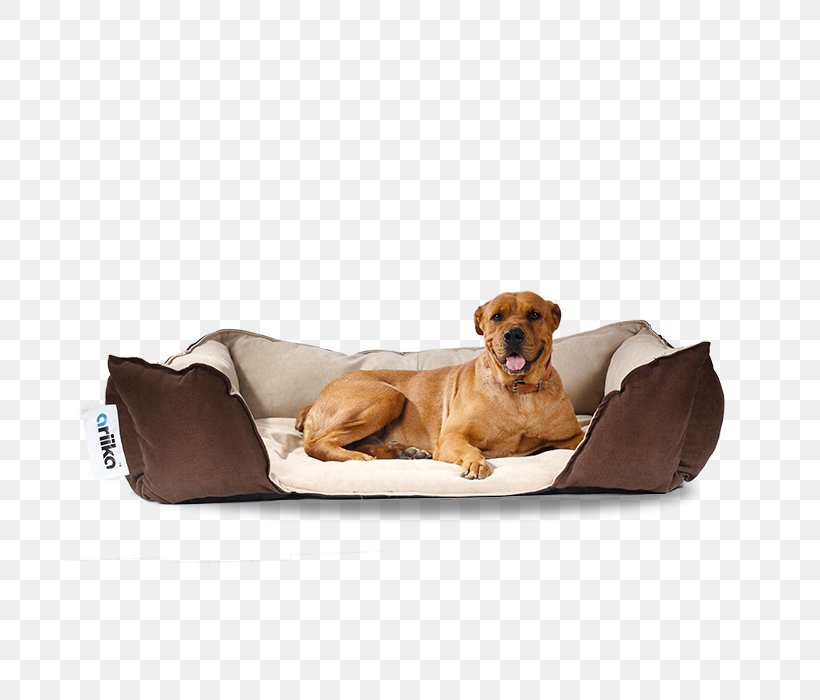 Companion Dog Puppy Bean Bag Chairs, PNG, 700x700px, Dog, Bean Bag Chair, Bean Bag Chairs, Bed, Canidae Download Free