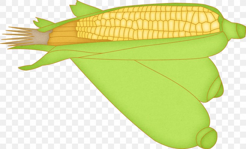 Corn On The Cob Food Vegetable, PNG, 1600x973px, Corn On The Cob, Commodity, Food, Fruit, Plant Download Free