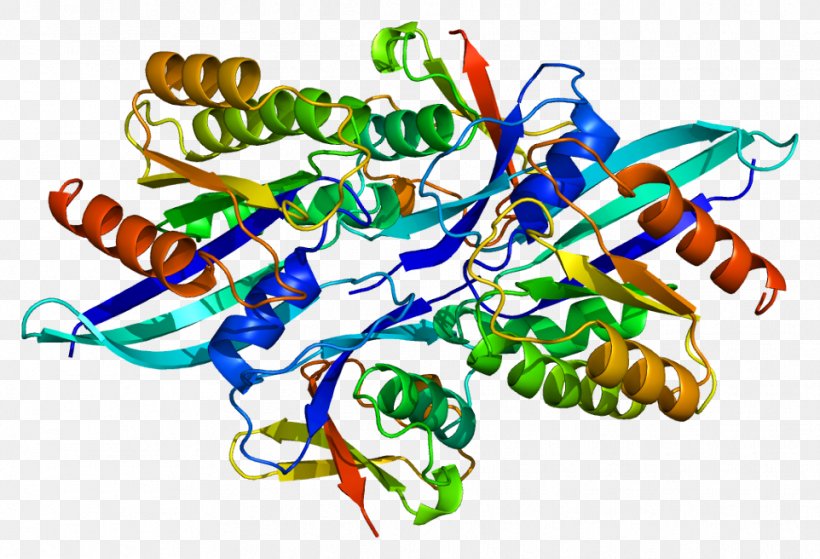 Adamantane RALGDS Chemistry Hydroxylation Protein, PNG, 962x656px, Adamantane, Active Site, Art, Chemical Substance, Chemistry Download Free