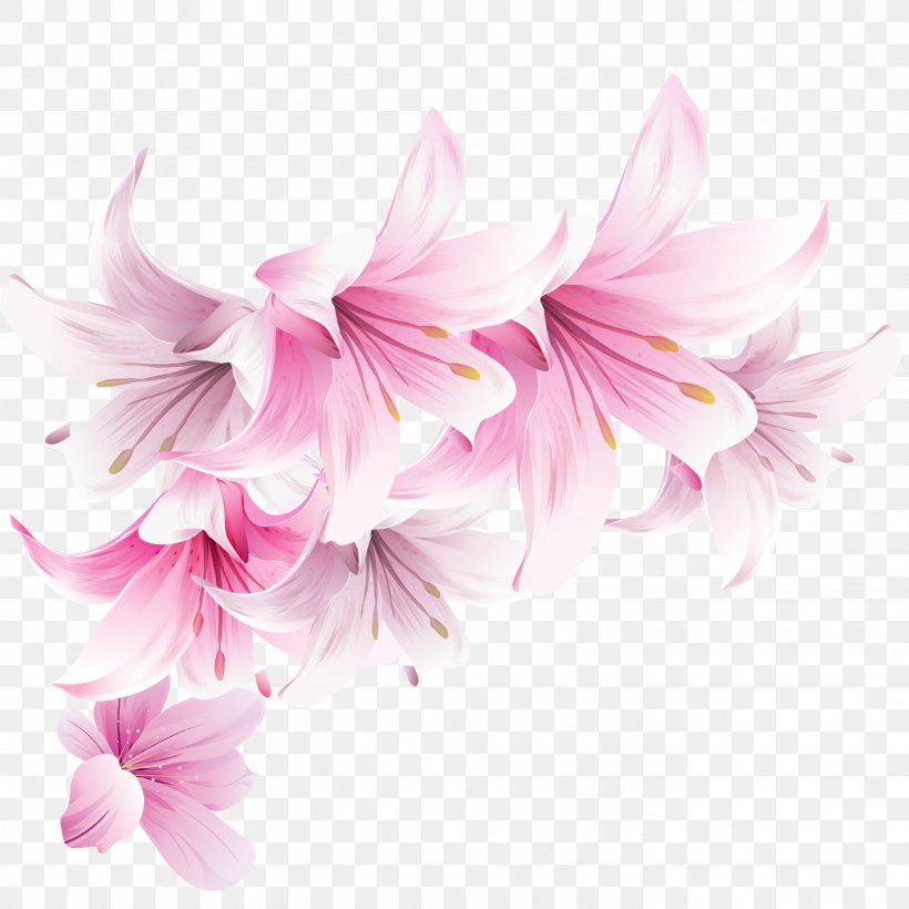 Pink Wallpaper, PNG, 1417x1417px, Pink, Blossom, Cut Flowers, Dahlia, Floral Design Download Free