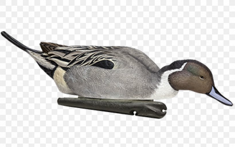 Duck Decoy Mallard Northern Pintail Gadwall, PNG, 940x587px, Duck, Anseriformes, Beak, Bird, Bluewinged Teal Download Free