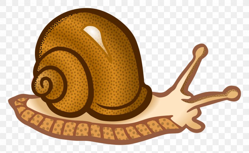 Snail Clip Art, PNG, 2400x1481px, Snail, Cartoon, Gastropod Shell, Invertebrate, Molluscs Download Free