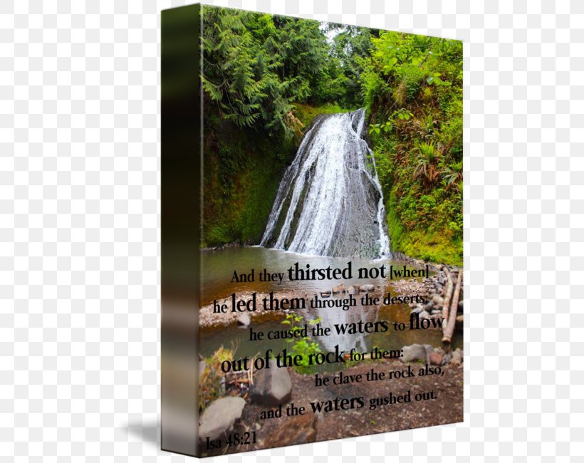 Waterfall Nature Reserve Quotation Water Resources, PNG, 494x650px, Waterfall, Com, Gift, Nature, Nature Reserve Download Free