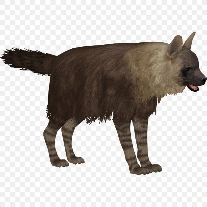 Zoo Tycoon 2 Striped Hyena African Wild Dog, PNG, 829x829px, Zoo Tycoon 2, Aardwolf, African Wild Dog, Animal, Blackbacked Jackal Download Free