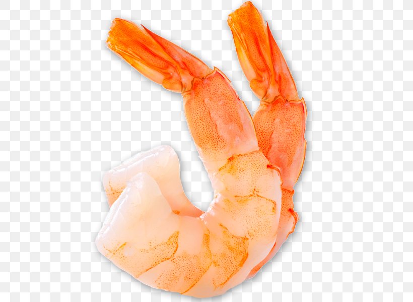 Caridea Mexican Cuisine Shrimp Prawn Stock Photography, PNG, 500x599px, Caridea, Animal Source Foods, Caridean Shrimp, Cooking, Decapoda Download Free