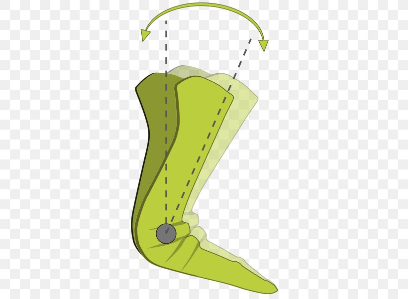 Shoe Line Angle Cartoon, PNG, 500x600px, Shoe, Area, Cartoon, Fin, Footwear Download Free