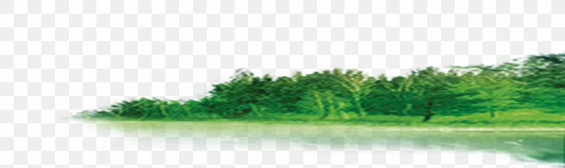 Download Forest, PNG, 1000x300px, Forest, Brand, Ecosystem, Flora, Grass Download Free
