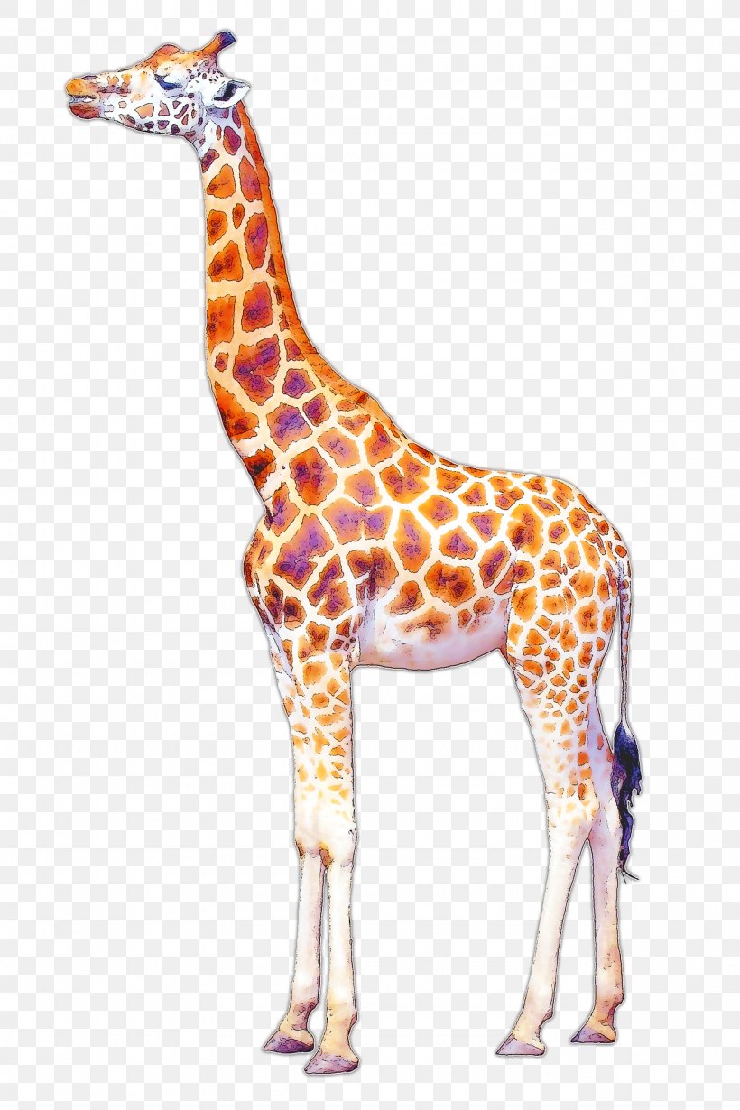 Giraffe Drawing Art, PNG, 1280x1920px, Giraffe, Animal Figure, Art, Drawing, Giraffidae Download Free