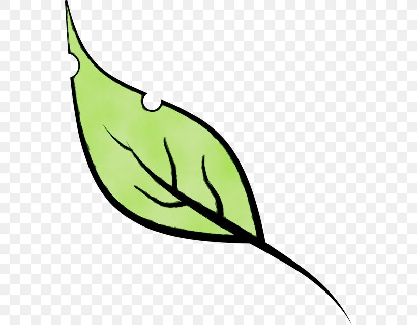 Leaf Clip Art Plant, PNG, 564x640px, Watercolor, Leaf, Paint, Plant, Wet Ink Download Free