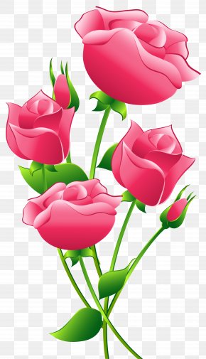 Pink Roses Transparent Clip Art Image - Rose Pink Clip Art PNG