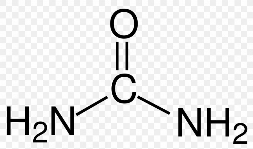 Thioacetamide Acetone Chemistry Reagent Solvent In Chemical Reactions, PNG, 1200x709px, Thioacetamide, Acetamide, Acetic Acid, Acetone, Area Download Free