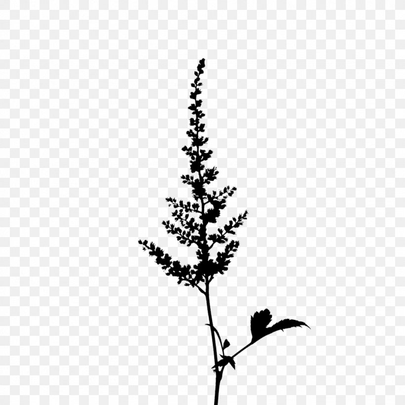 Twig Pine Plant Stem Leaf Font, PNG, 1024x1024px, Twig, Blackandwhite, Branch, Flower, Flowering Plant Download Free