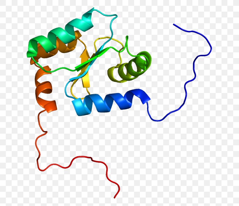 GLRX2 Protein Glutaredoxin Gene Glutathione, PNG, 687x709px, Watercolor, Cartoon, Flower, Frame, Heart Download Free