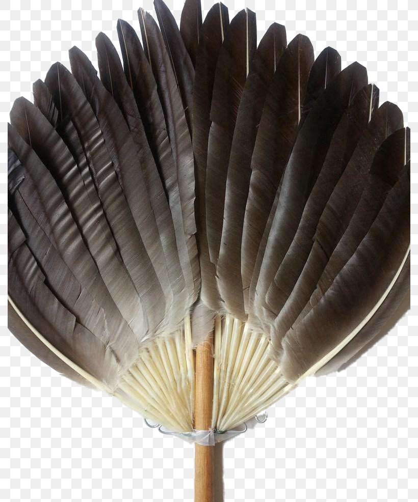 Hand Fan Feather, PNG, 790x986px, Hand Fan, Decorative Fan, Feather, Zhuge Liang Download Free