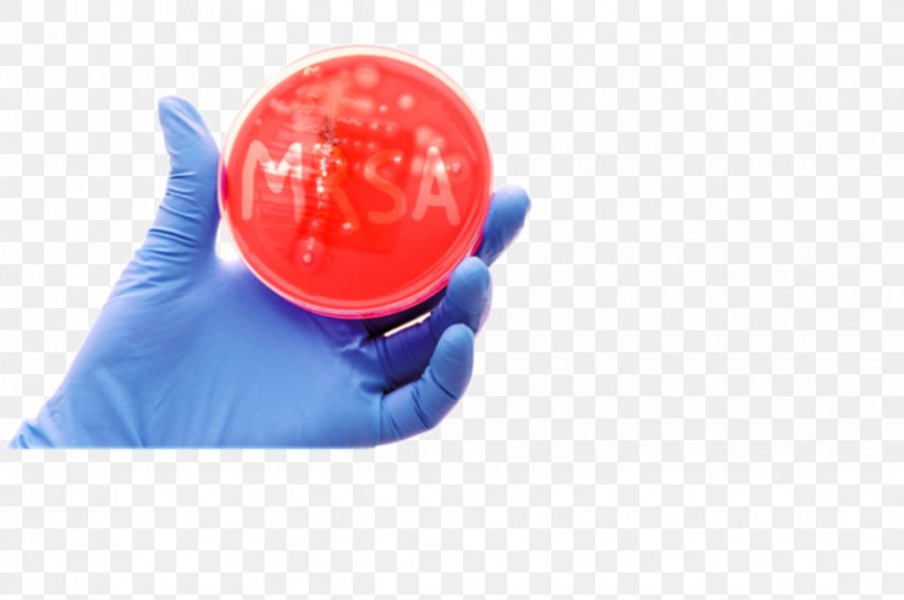 MRSA Super Bug Bacteria Multiple Drug Resistance Skin Plastic, PNG, 977x650px, Mrsa Super Bug, Bacteria, Bild, Electric Blue, Health Download Free