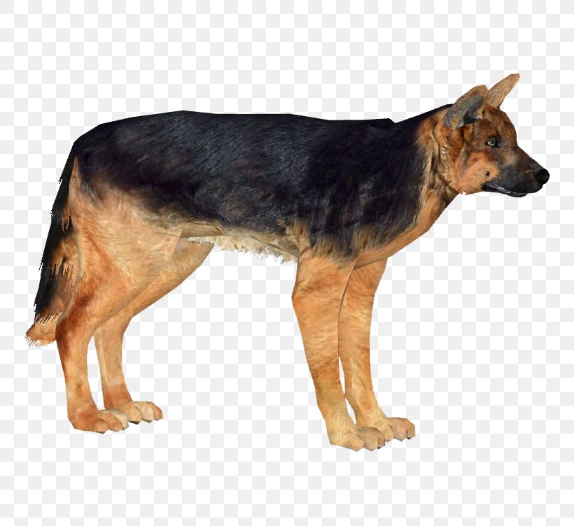 Old German Shepherd Dog Kunming Wolfdog Dog Breed King Shepherd, PNG, 752x752px, Old German Shepherd Dog, Canidae, Carnivore, Dog, Dog Breed Download Free