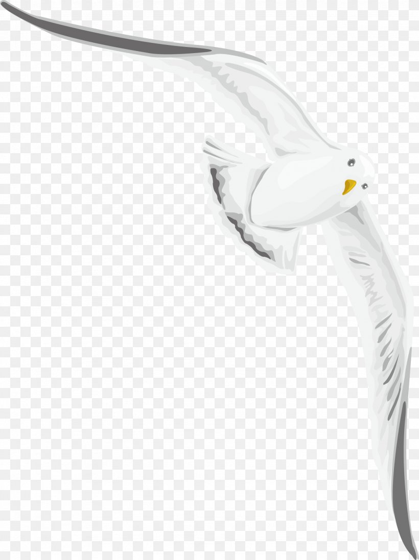 Swan Goose, PNG, 1844x2468px, Goose, Beak, Bird, Black And White, Canada Goose Download Free