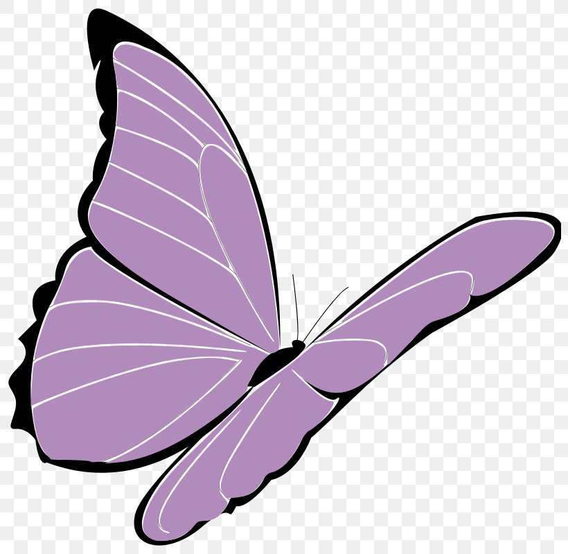Clip Art, PNG, 800x800px, Pink, Blue, Brush Footed Butterfly, Butterfly, Color Download Free