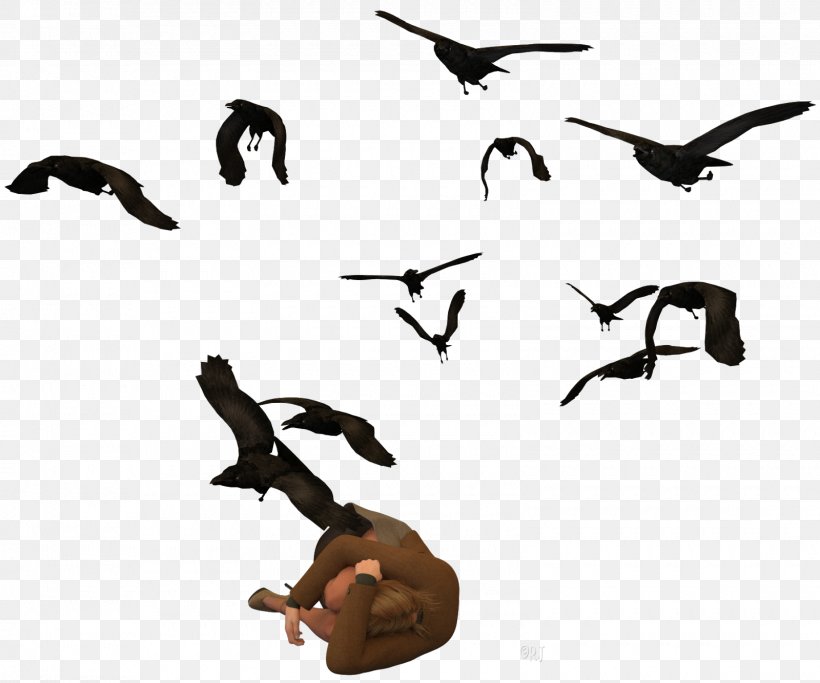 Duck Bird Migration Clip Art Fauna, PNG, 1600x1334px, Duck, Animal, Animal Figure, Animal Migration, Beak Download Free