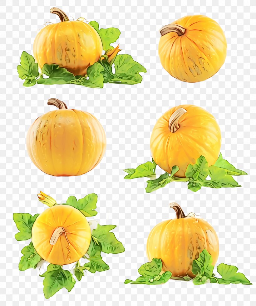 Pumpkin, PNG, 1832x2184px, Watercolor, Calabaza, Cucurbita, Food, Fruit Download Free