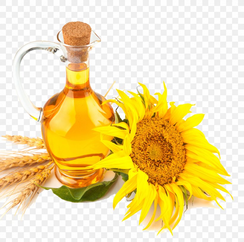 Safflower Oil Sunflower Oil Cooking Oils, PNG, 1400x1389px, Safflower ...