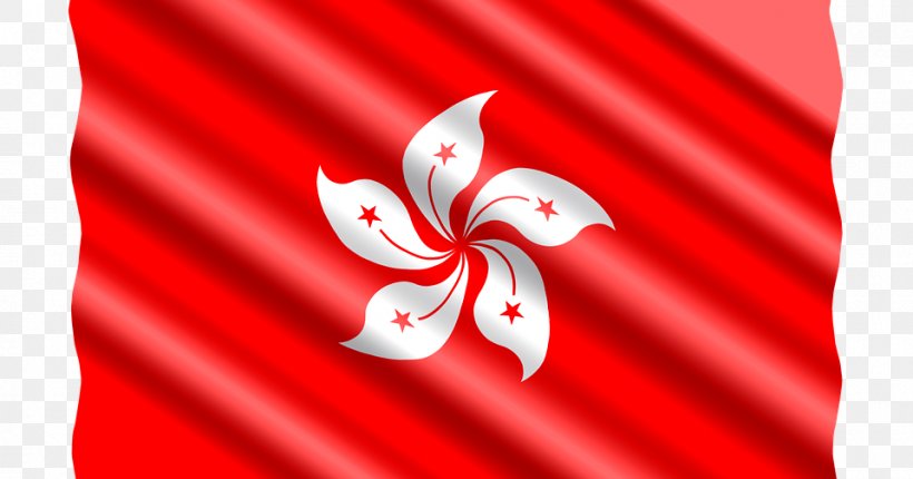 Flag Of Hong Kong Two Pacific Place Shantin Industrial (HK) Ltd Gambling, PNG, 960x504px, Flag Of Hong Kong, Close Up, Flower, Gambling, Hong Kong Download Free