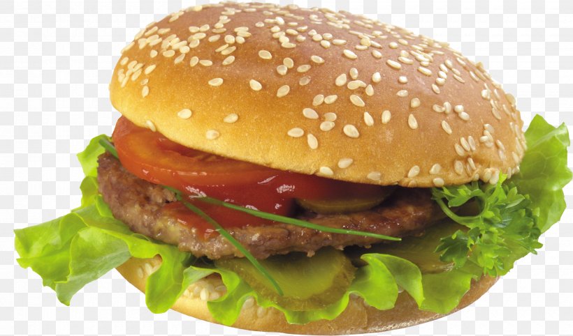 Hamburger French Fries Fast Food Chicken Sandwich Cheeseburger, PNG, 3320x1953px, Hamburger, American Food, Bacon, Beefsteak, Big Mac Download Free