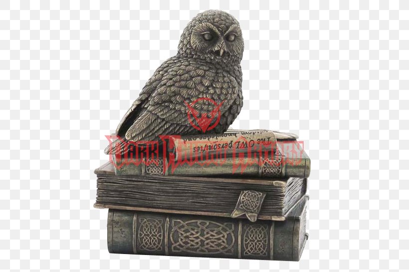 Snowy Owl Bronze Book Box, PNG, 545x545px, Owl, Beak, Bird Of Prey, Book, Box Download Free