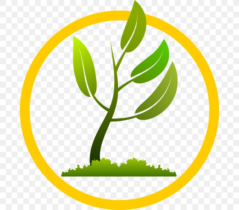 Tree Planting Leaf, PNG, 684x720px, Tree Planting, Area, Artwork, Branch, Grass Download Free