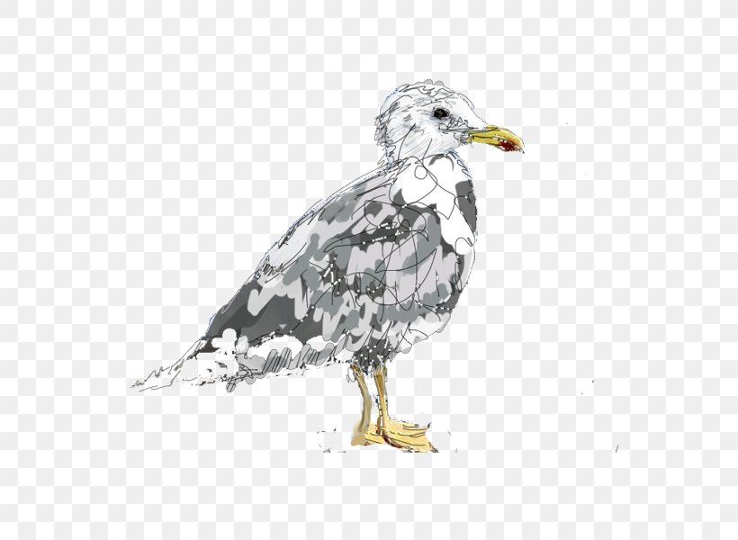 Vulture Cygnini Goose Anatidae Bird, PNG, 600x600px, Vulture, Anatidae, Beak, Bird, Bird Of Prey Download Free