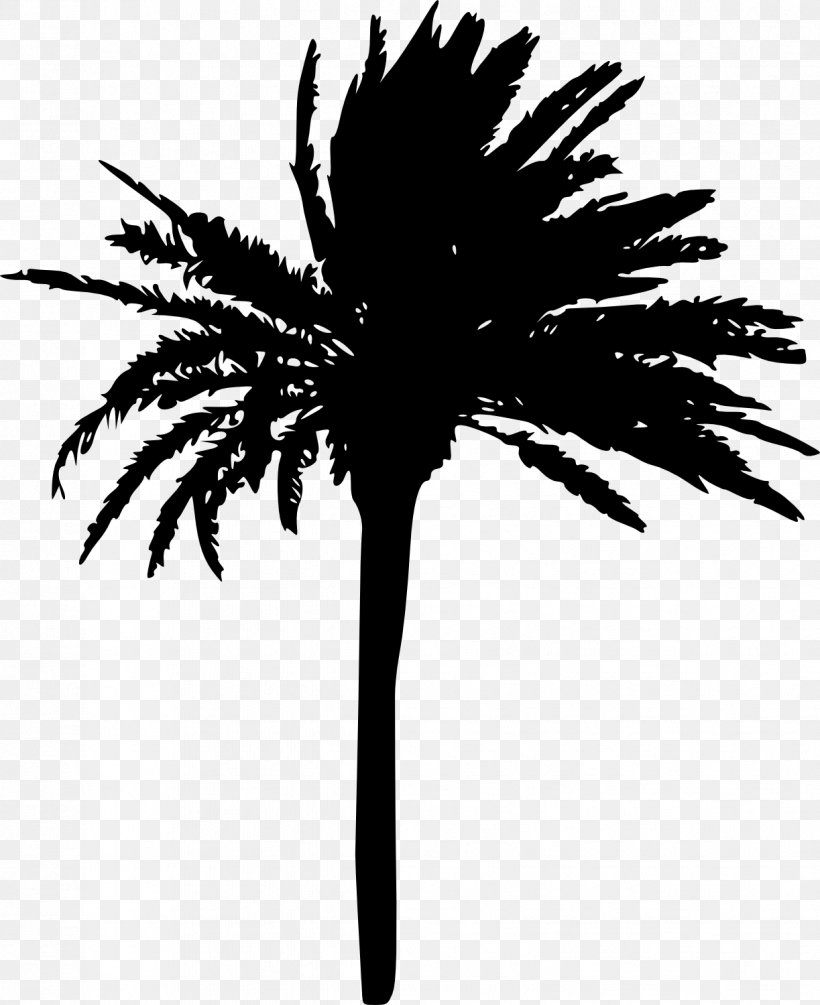 Arecaceae Tree Woody Plant Sabal Palm, PNG, 1223x1500px, Arecaceae, Arecales, Black And White, Branch, Date Palm Download Free