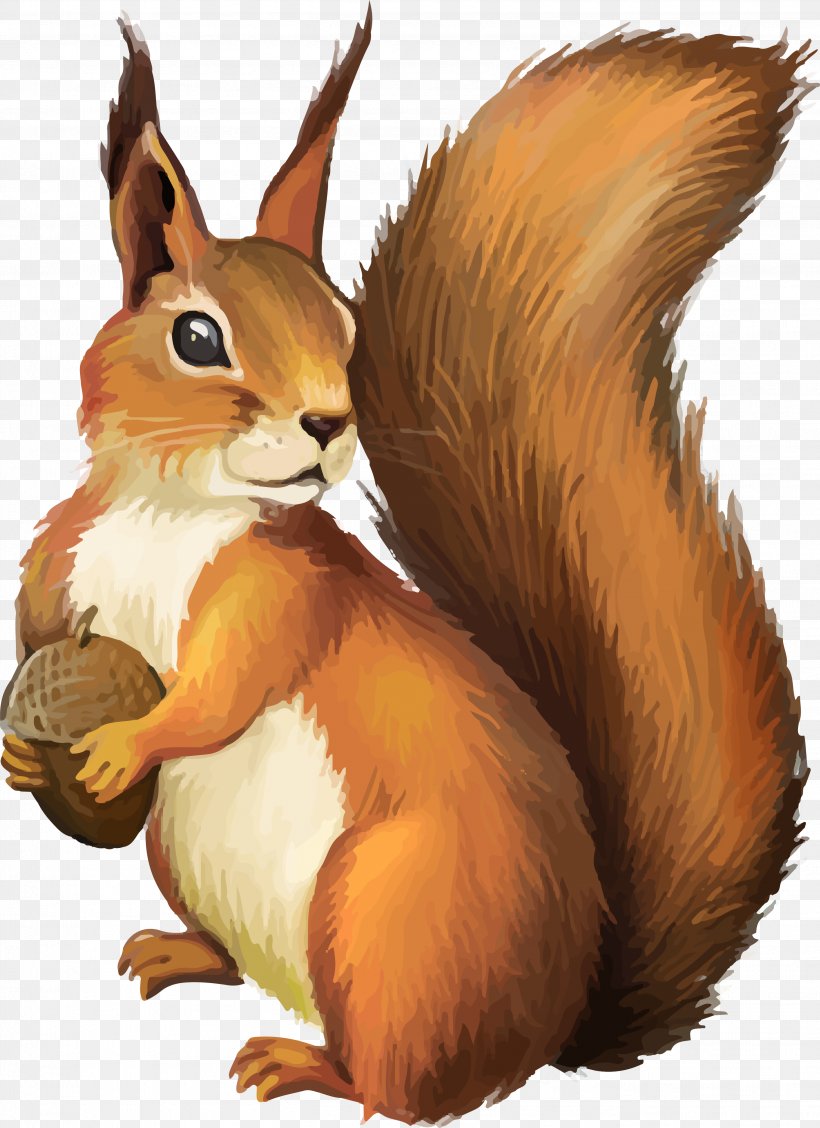 Squirrel Clip Art, PNG, 2726x3750px, Chipmunk, Fauna, Flying Squirrel, Ground Squirrel, Hare Download Free