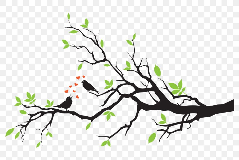 Vector Graphics Birdcage Branch Illustration, PNG, 800x550px, Bird, Art, Birdcage, Blossom, Branch Download Free