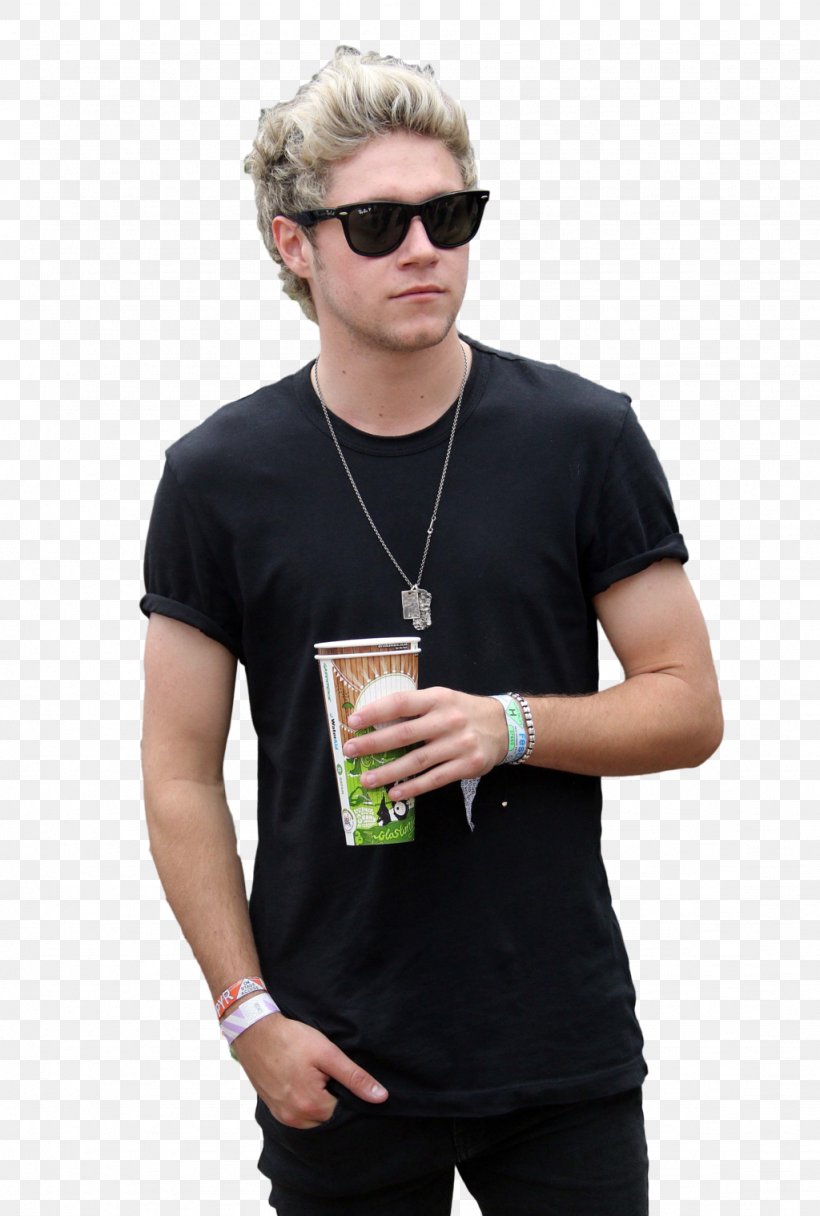 Niall Horan One Direction Flicker On The Loose, PNG, 1024x1519px, Watercolor, Cartoon, Flower, Frame, Heart Download Free
