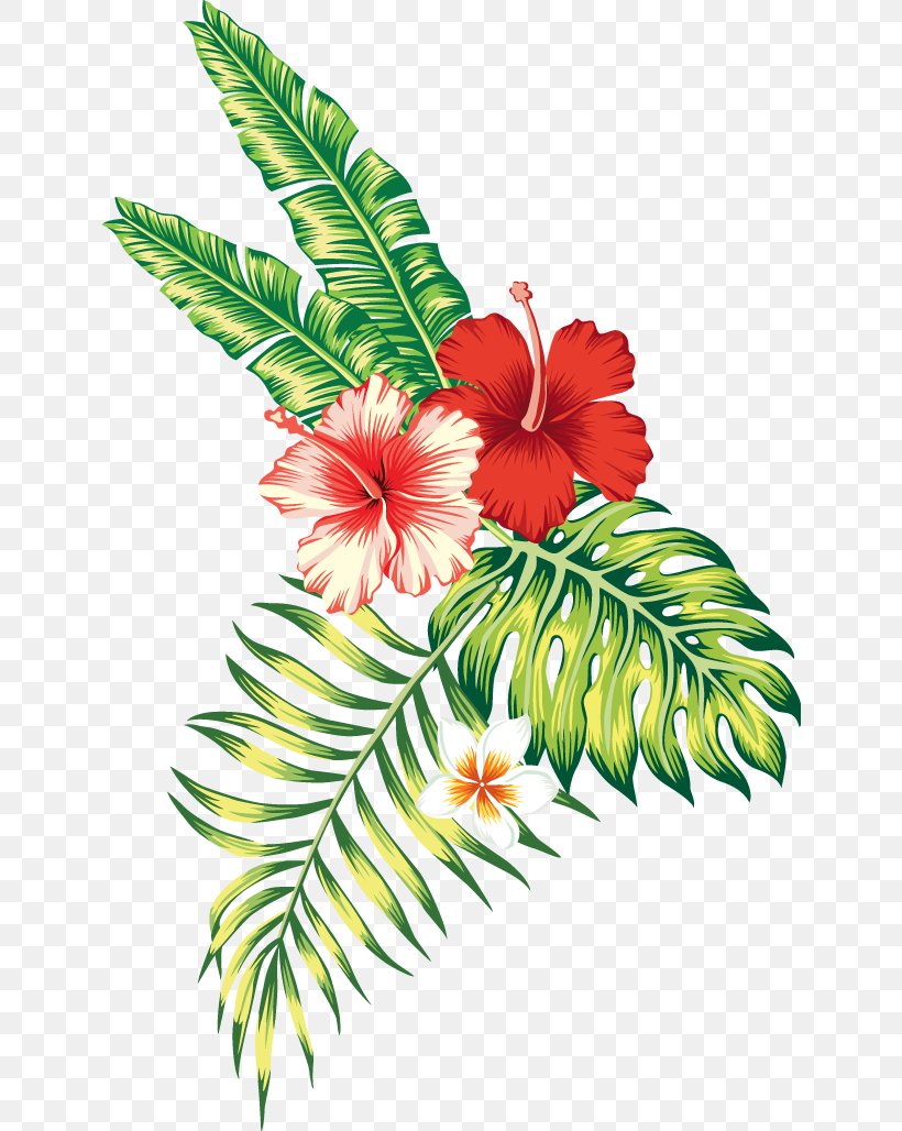 Tropics Tropical Climate Flower, PNG, 636x1028px, Tropics, Arecaceae, Art, Branch, Cut Flowers Download Free