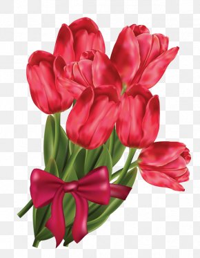 Campos De Tulipanes Rojos - Flower Bouquet Stock Illustration Stock Photography Vector Graphics PNG