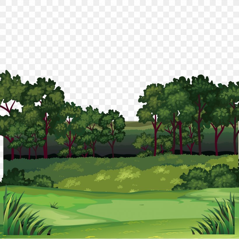 Forest Clip Art, PNG, 1500x1500px, Royalty Free, Biome, Cartoon, Drawing, Ecosystem Download Free