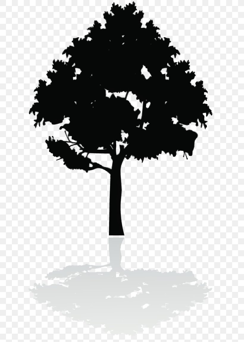 Tree Shadow, PNG, 684x1148px, Silhouette, Blackandwhite, Fond Blanc, Houseplant, Leaf Download Free