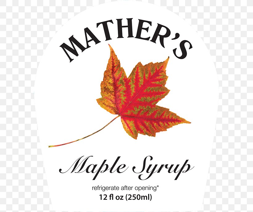 Maple Leaf Maple Syrup Sugar Shack, PNG, 600x685px, Maple Leaf, Brand, Colgate, Flowering Plant, Label Resource And Graphics Download Free