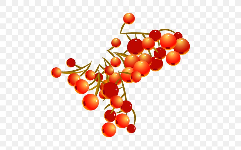 Natural Foods Orange S.A., PNG, 512x512px, Food, Berry, Branch, Cherry, Fruit Download Free