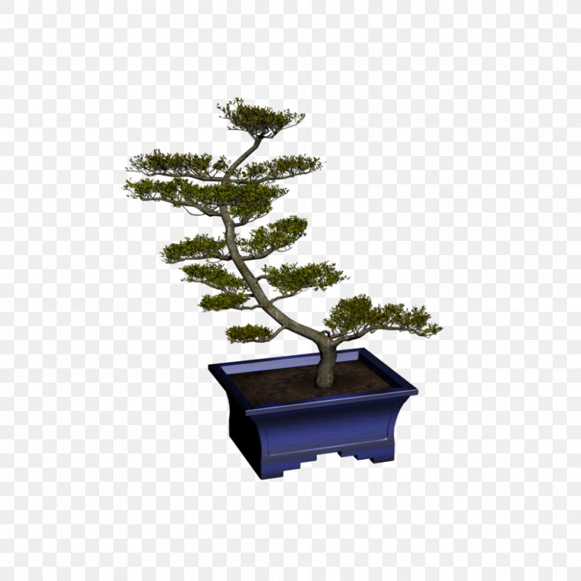 Tree Room Bonsai Interior Design Services, PNG, 1000x1000px, Tree, Bonsai, Flowerpot, Furniture, Gestaltung Download Free