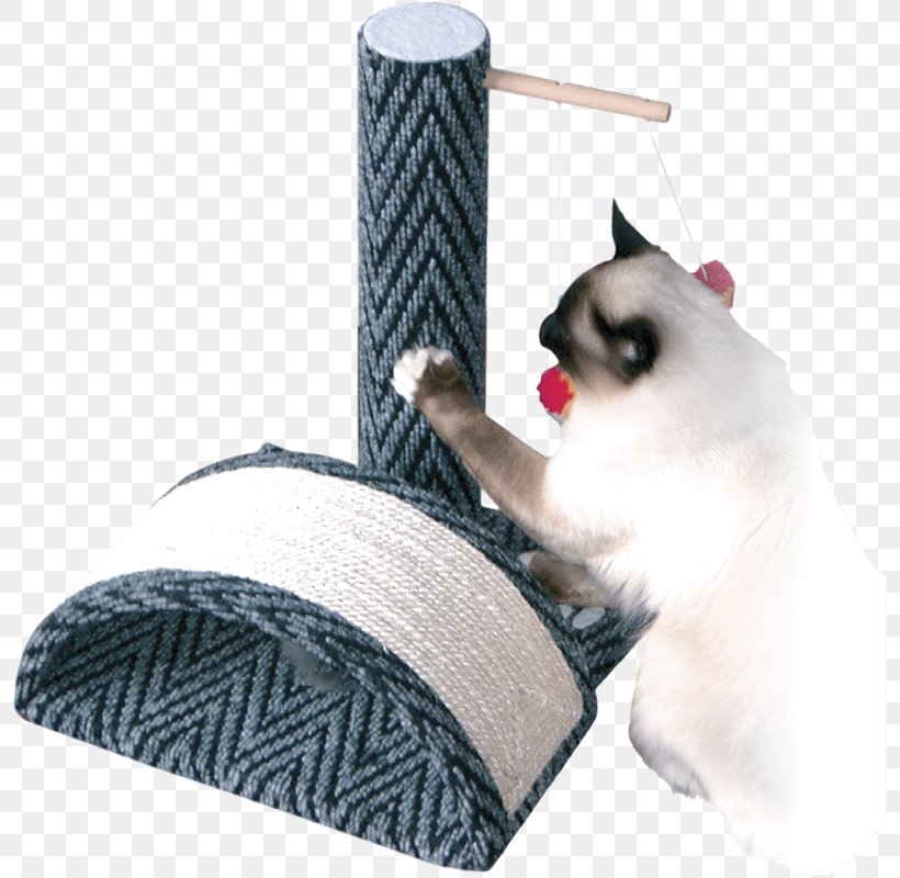 Whiskers Scratching Post Van Cat Cat Tree Cat Play And Toys, PNG, 800x800px, Whiskers, Cat, Cat Agility, Cat Furniture, Cat Like Mammal Download Free