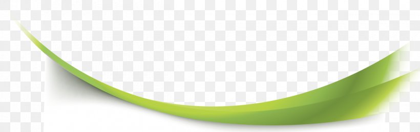 Curve Line Ecuadorian Institute Of Social Security Banco Del Instituto Ecuatoriano De Seguridad Social Angle, PNG, 1260x398px, Curve, Credit, Employer, Estudio De Suelos, Grass Download Free