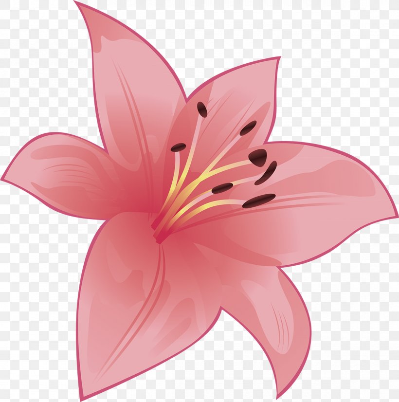 Cut Flowers Flowering Plant Petal, PNG, 1190x1200px, Flower, Cut Flowers, Flora, Flowering Plant, Lily Download Free