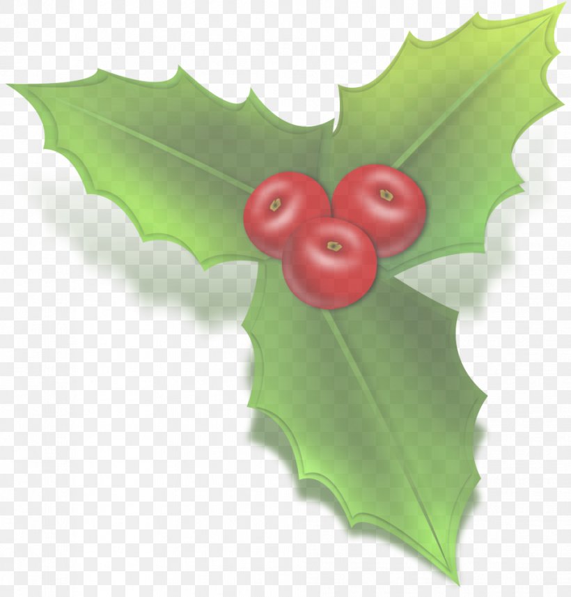 Holly, PNG, 956x1000px, Holly, Flower, Green, Hollyleaf Cherry, Leaf Download Free
