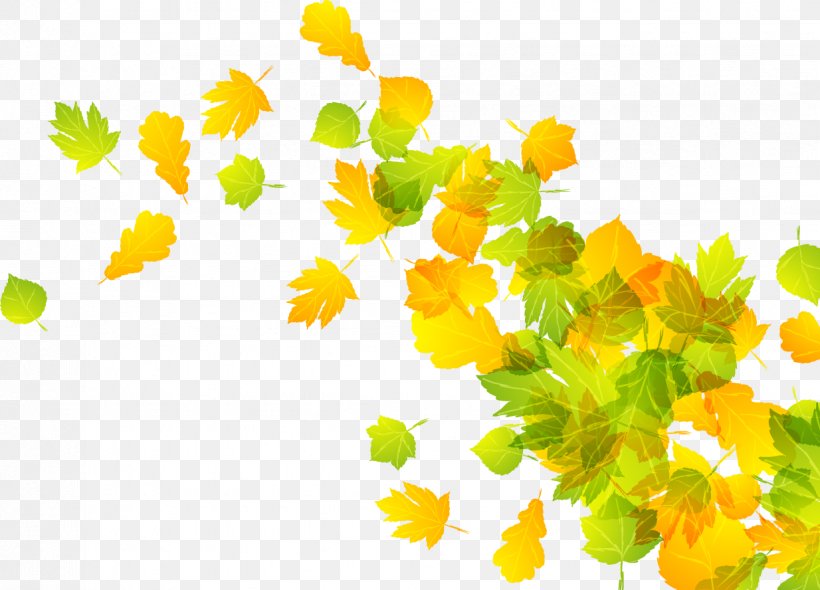 Vector 2 Leaf Autumn, PNG, 1234x888px, Vector 2, Autumn, Autumn Leaf Color, Branch, Color Download Free