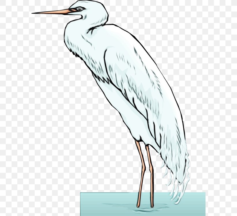 Bird Beak Crane-like Bird Little Blue Heron Crane, PNG, 602x750px, Watercolor, Beak, Bird, Crane, Cranelike Bird Download Free