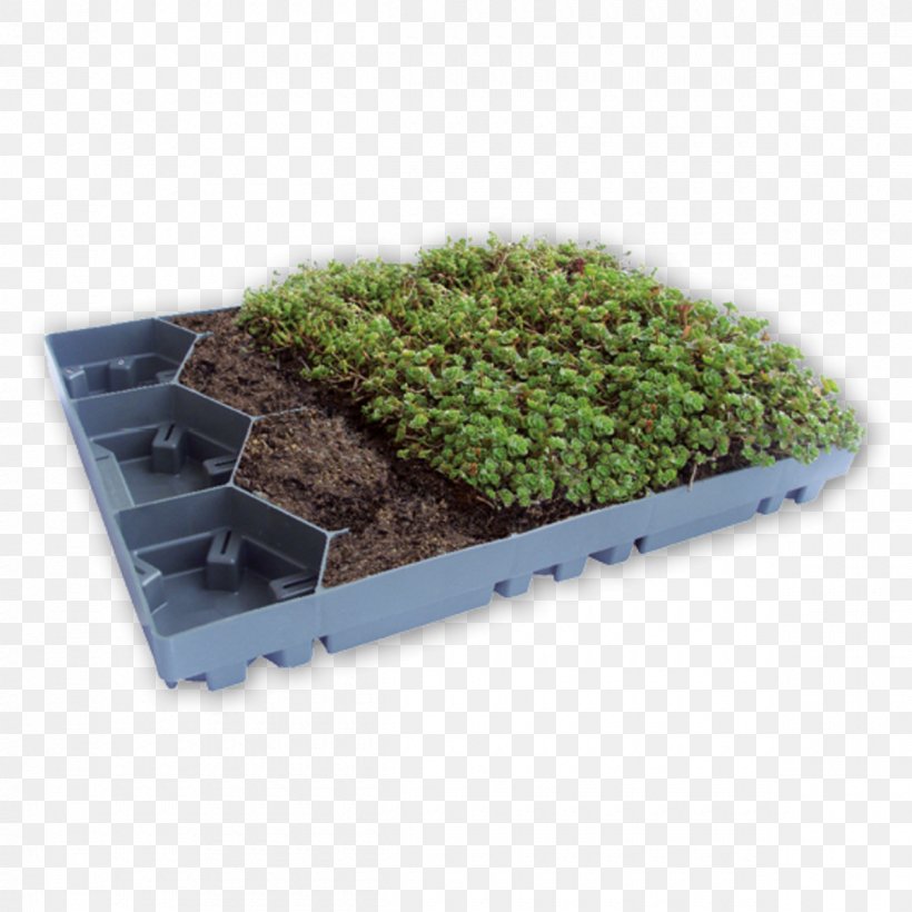 Green Roof Window Blinds & Shades Plastic Flat Roof, PNG, 1200x1200px, Green Roof, Ceiling, Dachdeckung, Epdm Rubber, Flat Roof Download Free