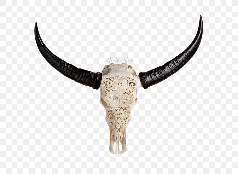 Horn Cattle Skull African Buffalo Water Buffalo, PNG, 600x600px, Horn, African Buffalo, American Bison, Antique, Artist Download Free